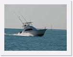 20080202 Key West 093 (Medium) * 800 x 600 * (47KB)